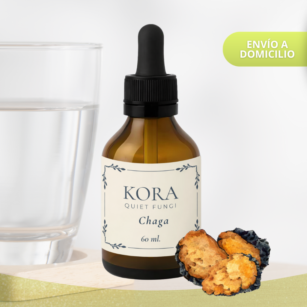 Chaga | Doble Extracto 60ml
